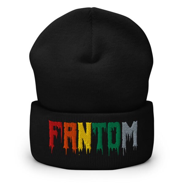 Fantom Cuffed Beanie - Image 2